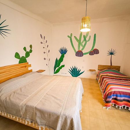 Hostel Casa Maguey Oaxaca Extérieur photo