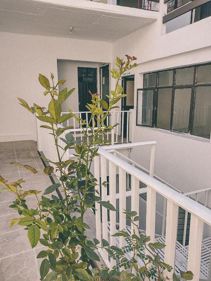 Hostel Casa Maguey Oaxaca Extérieur photo