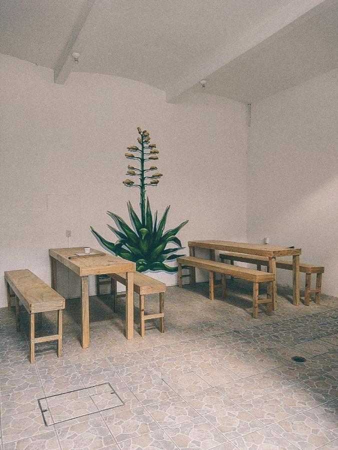 Hostel Casa Maguey Oaxaca Extérieur photo