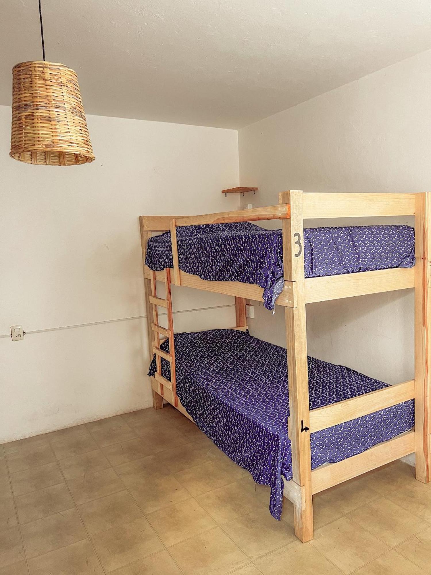 Hostel Casa Maguey Oaxaca Extérieur photo